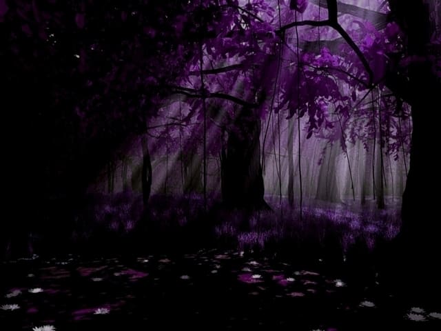 Dark Purple Forest