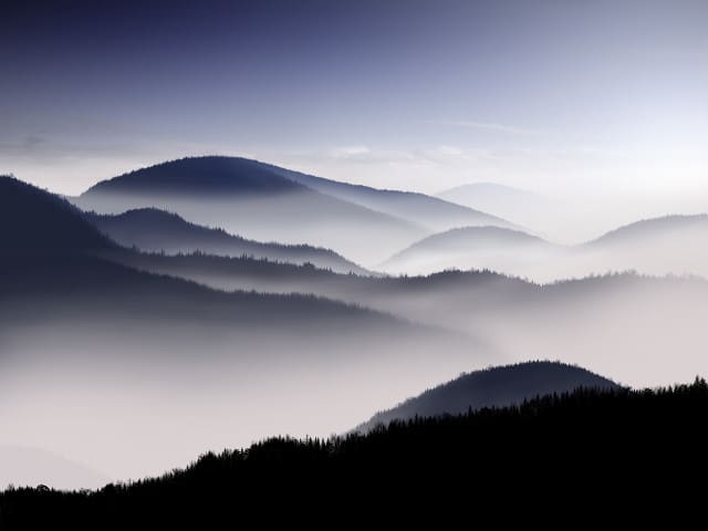 Misty Silver Hills